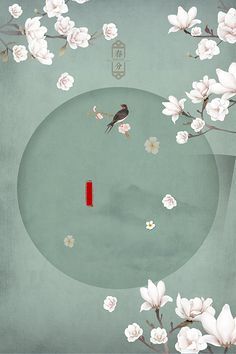 星空传媒免费在线